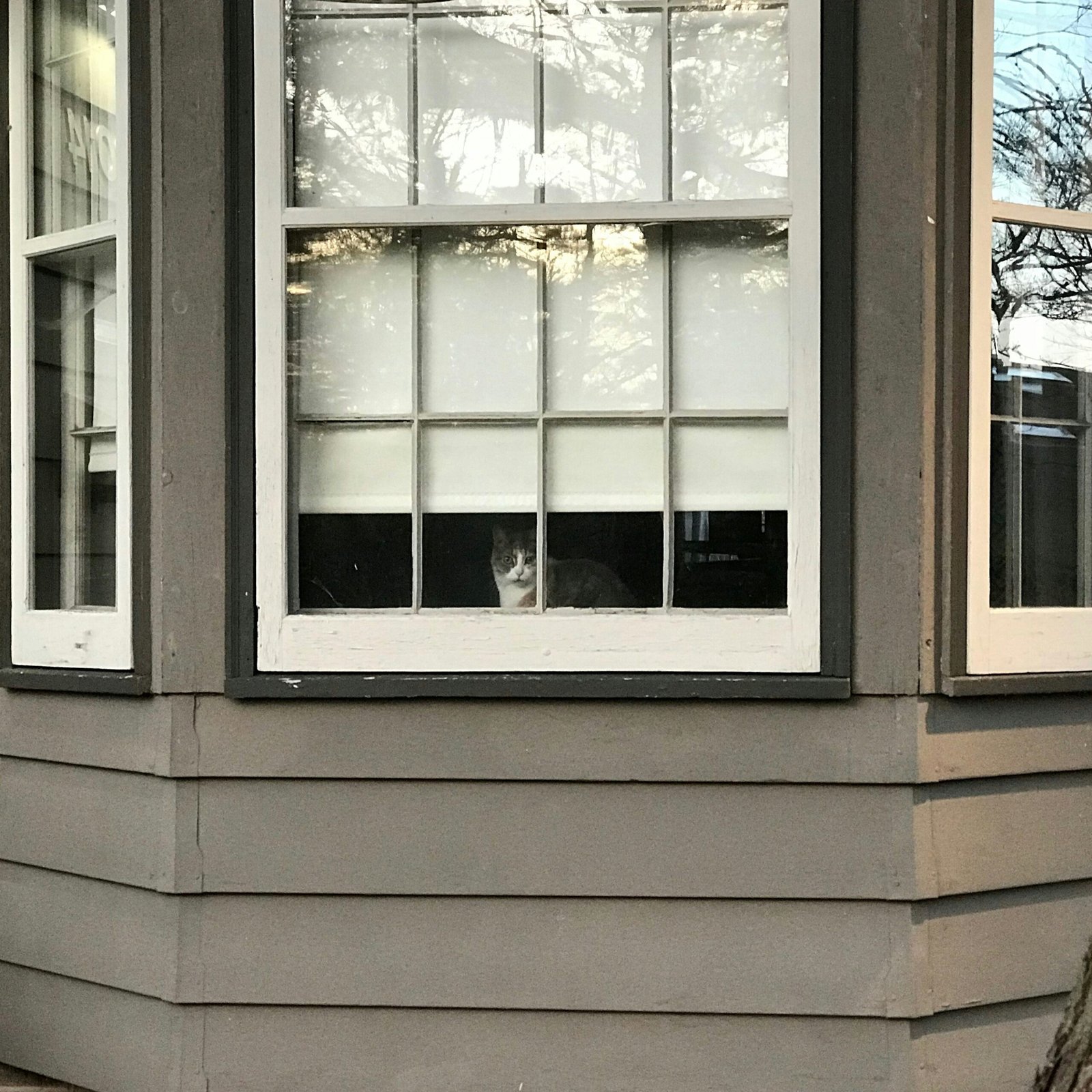 isaac-galvan-2lBWHgLe01o-unsplash